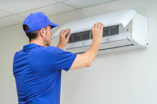 Best HVAC System Cleaning  in Willard, UT