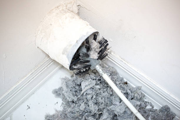 Best Local Air Duct Cleaning Services  in Willard, UT