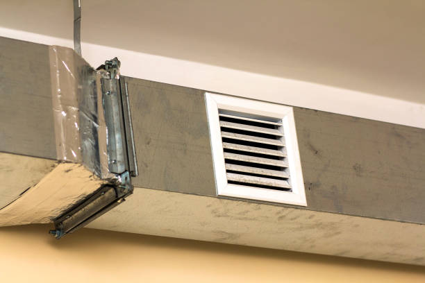 Best Dryer Vent Cleaning Services  in Willard, UT